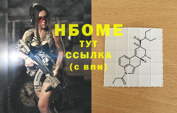 тгк Гусев