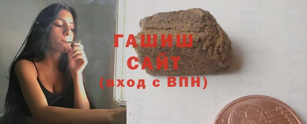 тгк Гусев