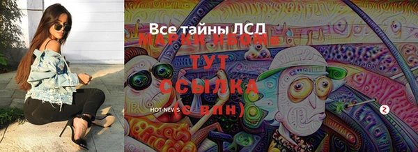 тгк Гусев