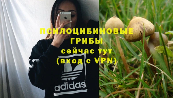 твердый Гусиноозёрск