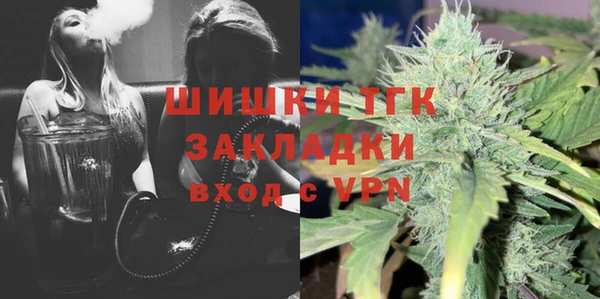 тгк Гусев