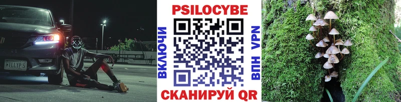 KRAKEN ссылка  Москва  Псилоцибиновые грибы Psilocybine cubensis 